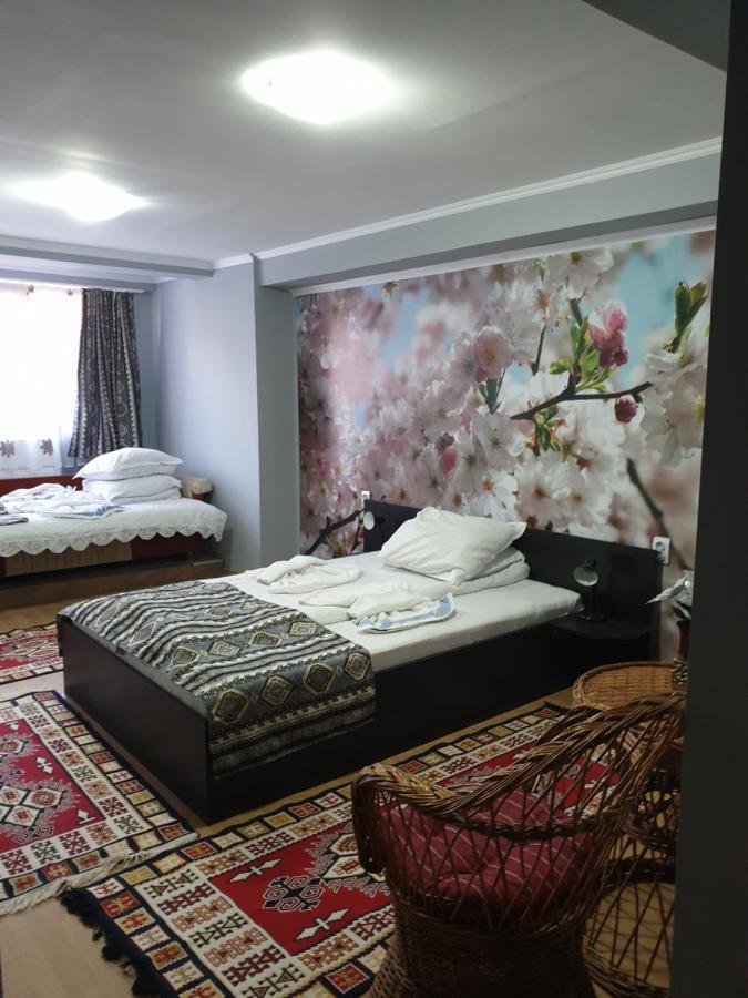 Vila Muntii Bucegi & Spa Bran  Exterior foto