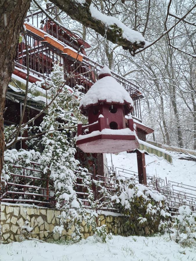 Vila Muntii Bucegi & Spa Bran  Exterior foto
