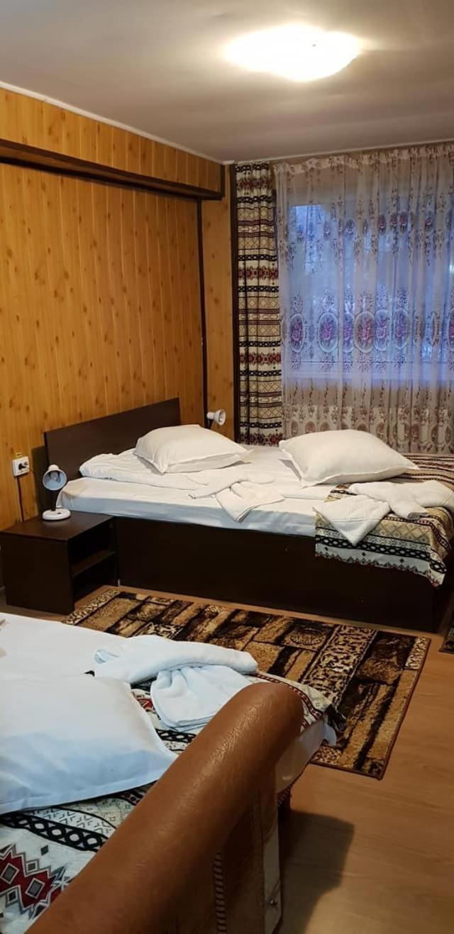 Vila Muntii Bucegi & Spa Bran  Exterior foto