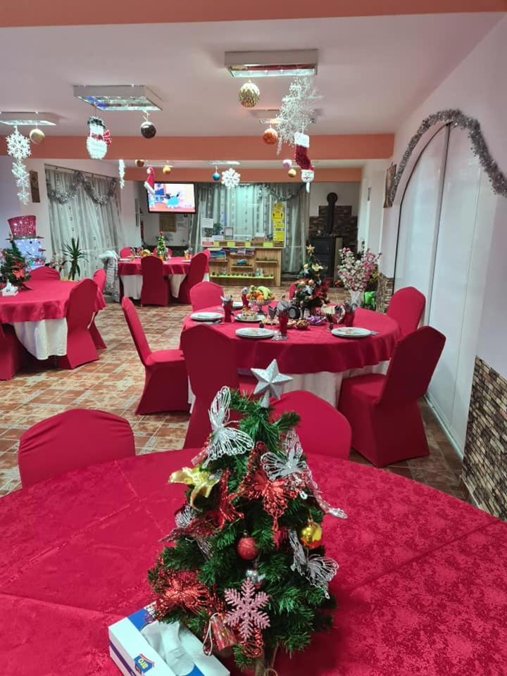 Vila Muntii Bucegi & Spa Bran  Exterior foto